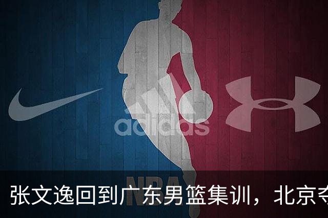 张文逸回到广东男篮集训，北京夺冠功勋确定退役，上海欲续约弗格